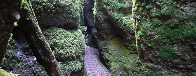 Die Drachenschlucht bei Eisenach: Ein schmaler Steg führt zwischen bemoosten Felsen hindurch.