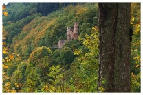 Schwalbennest (Bild: geka-pics (Gisbert Kühner))