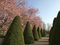 Schwetzinger Frühling